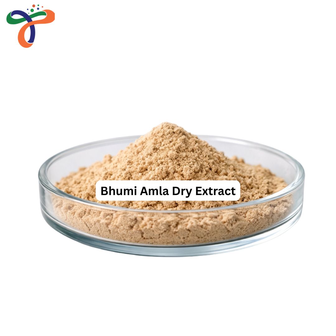 Bhumi Amla Dry Extract